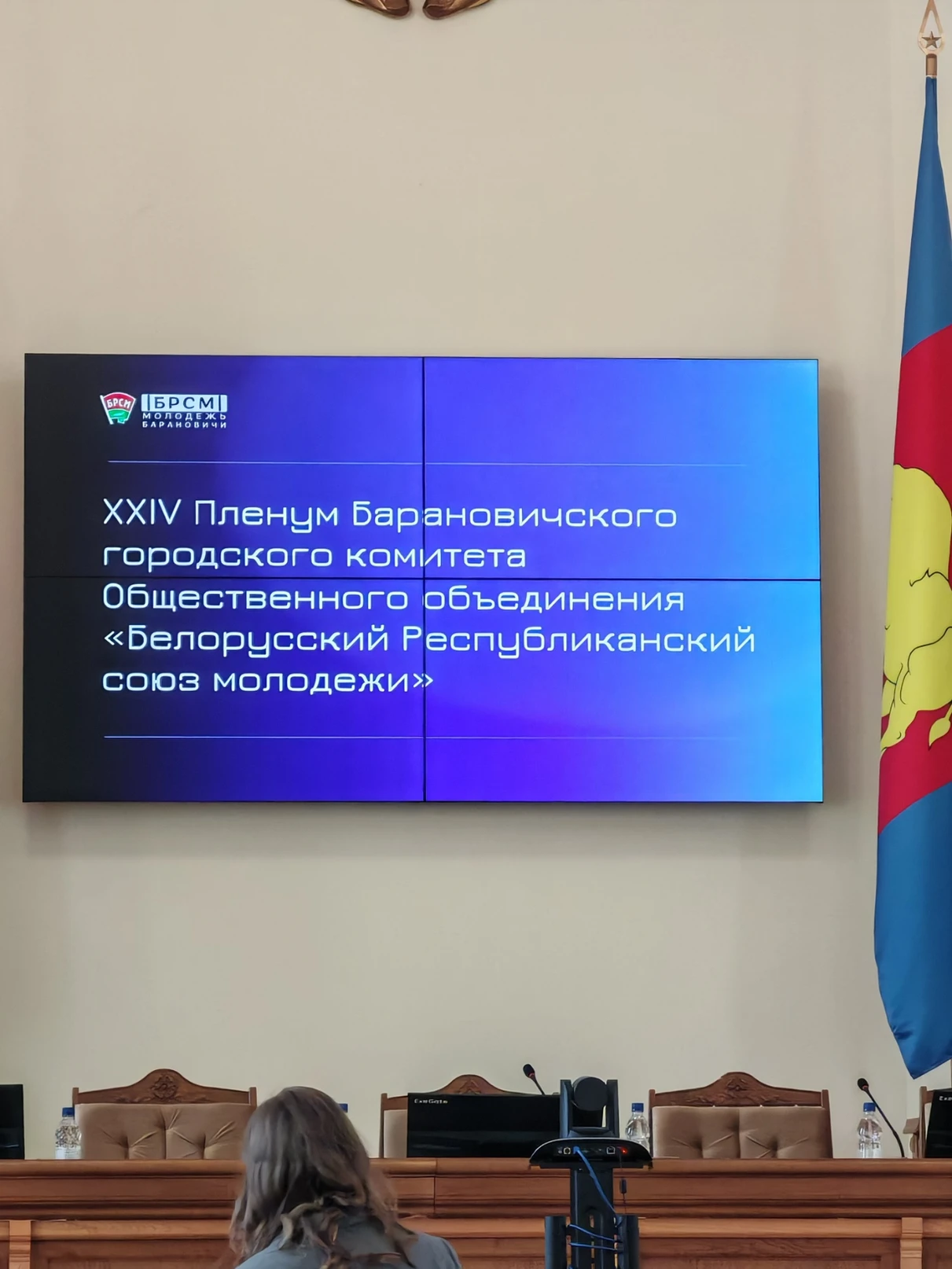 19 сакавіка адбыўся 24-ы Пленум Баранавіцкага гарадскога камітэта грамадскага аб’яднання «Беларускі Рэспубліканскі саюз моладзі»