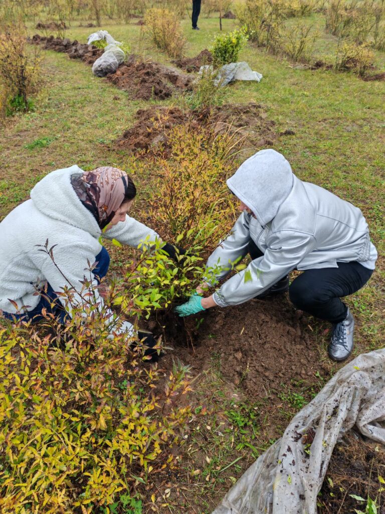 On October 25, 2025, as part of the national cleanup day, employees of Barkhim OJSC planted trees and shrubs in the park of the Borovka microdistrict.