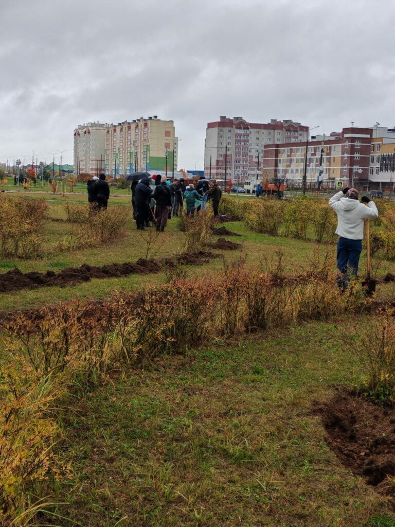 On October 25, 2025, as part of the national cleanup day, employees of Barkhim OJSC planted trees and shrubs in the park of the Borovka microdistrict.