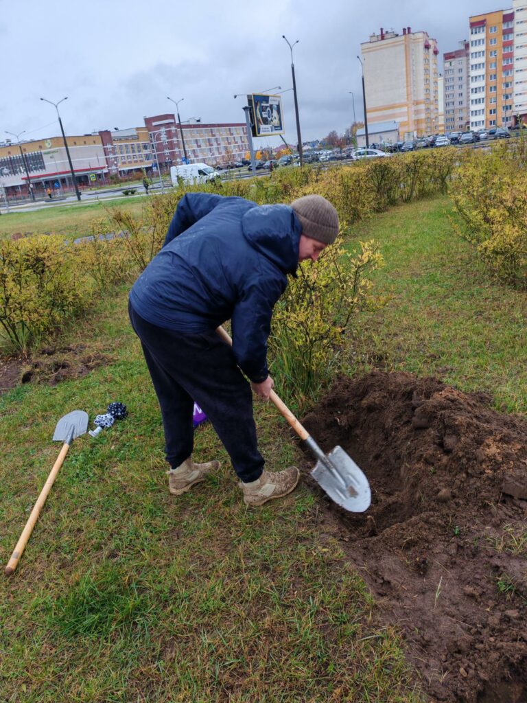On October 25, 2025, as part of the national cleanup day, employees of Barkhim OJSC planted trees and shrubs in the park of the Borovka microdistrict.